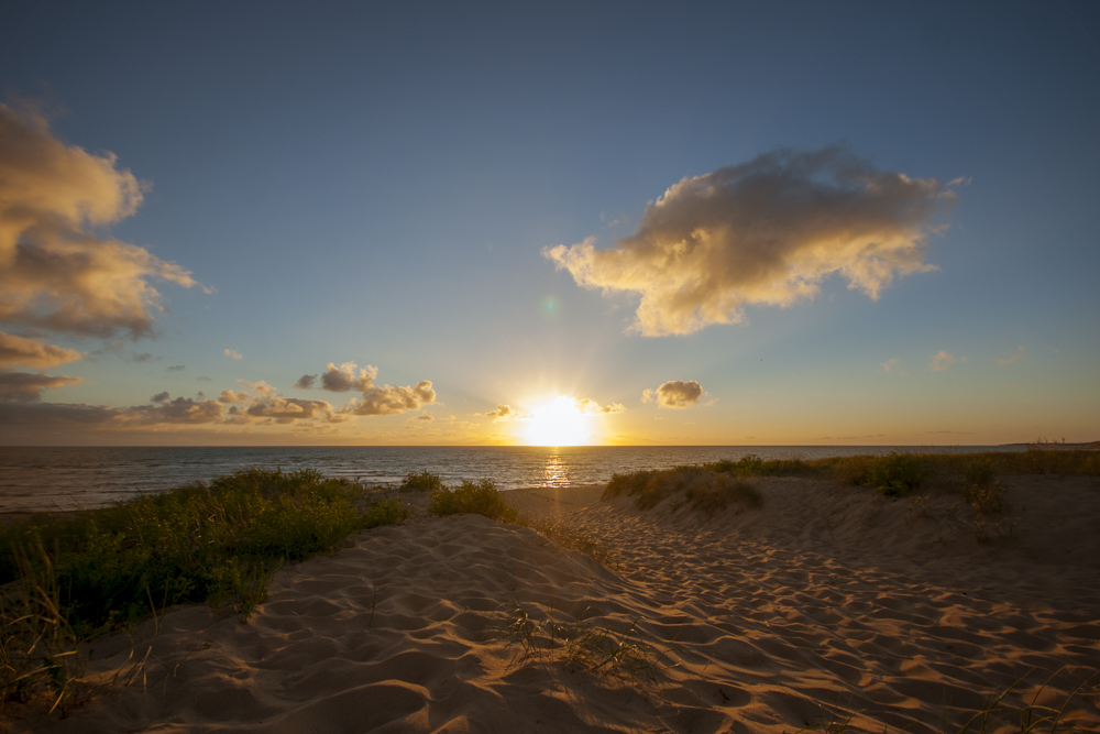 Un coucher de soleil dans les dunes de la plage d'Ars en Ré