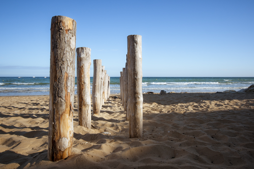 Deux rangées de pieux en bois planté sur une plage pour combattre les déferlantes.