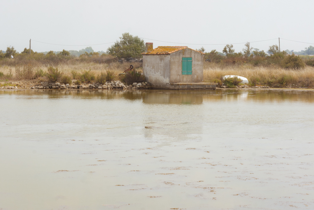 Une cabane, volets fermés, sur les bords d'un