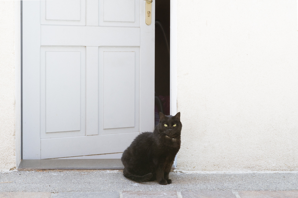 Un chat noir paisiblement assis devant la porte blanche de sa maison.